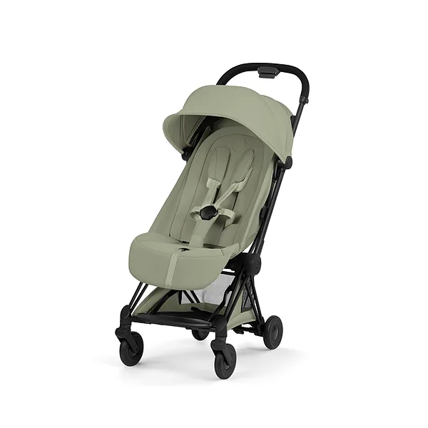 Tonis- Sage green